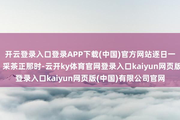 开云登录入口登录APP下载(中国)官方网站逐日一图｜东谈主勤春来早 采茶正那时-云开ky体育官网登录入口kaiyun网页版(中国)有限公司官网