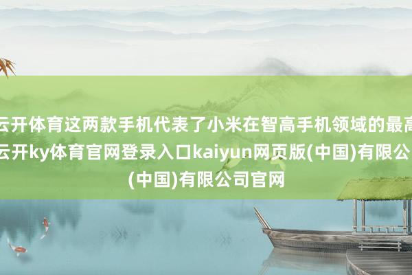 云开体育这两款手机代表了小米在智高手机领域的最高水准-云开ky体育官网登录入口kaiyun网页版(中国)有限公司官网
